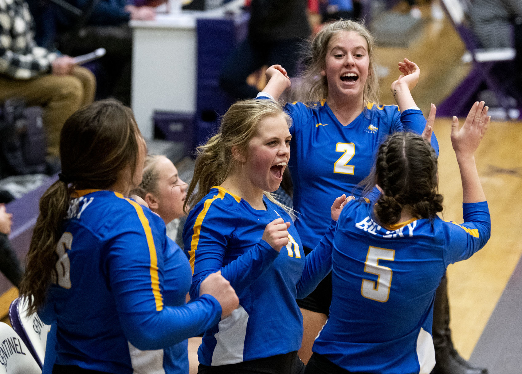 Sentinel vs. Big Sky volleyball 14